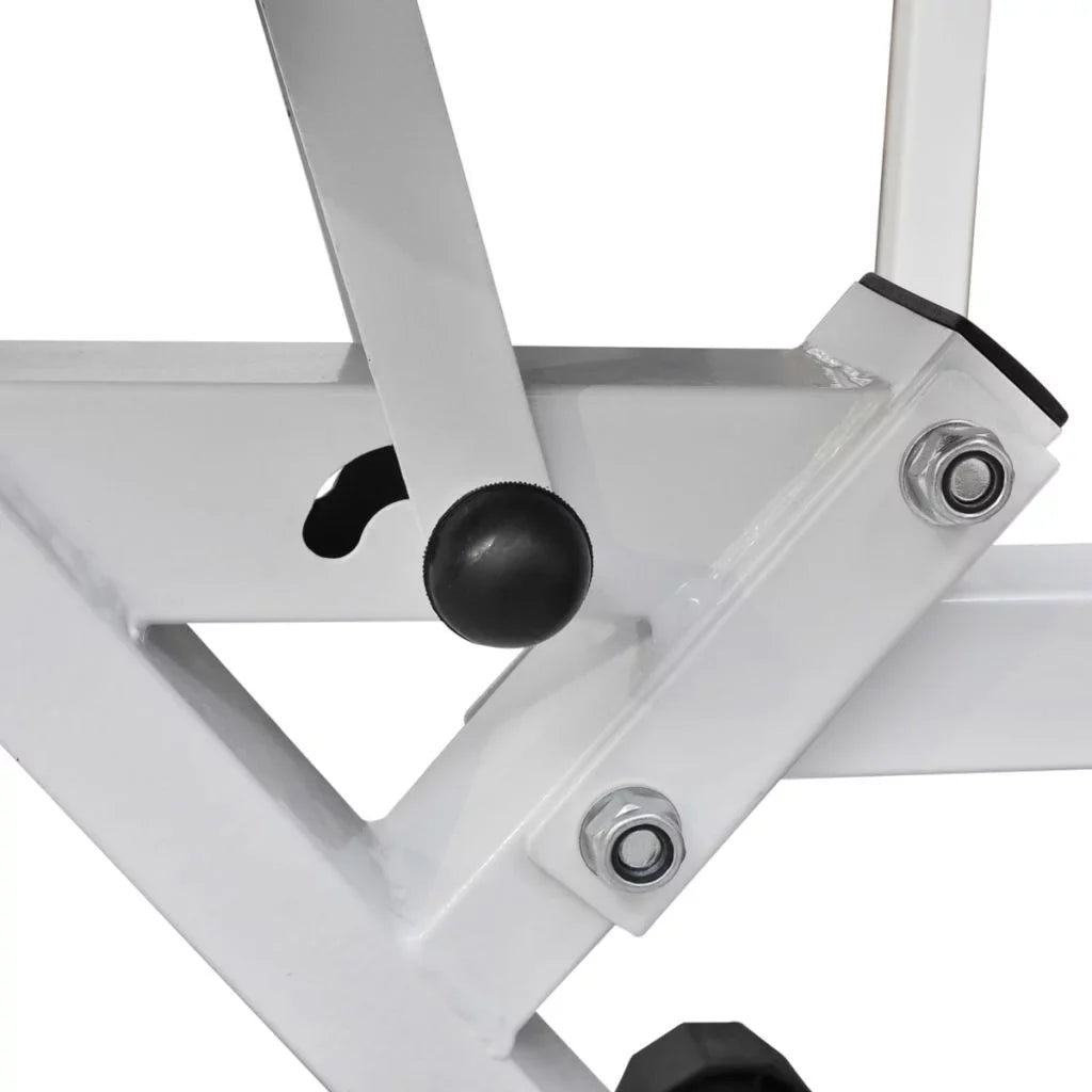 OWSizeOO Fitness Workout Utility Bench