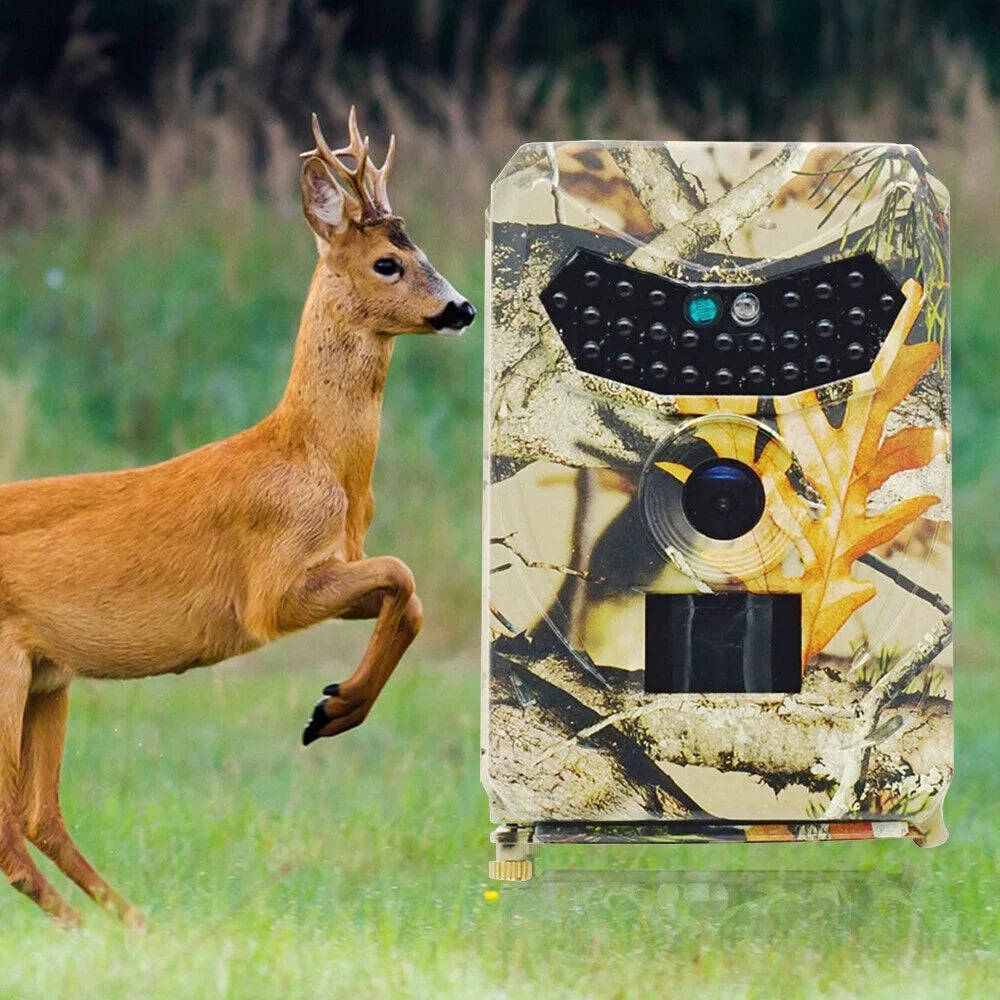Infrared Trail Camera,DFITO Wildlife Monitor, 1080P, 12MP, Home Sizeecurity, Farm Monitoring, Hunting Trail Monitor, Hunting Wildlife Camera Waterproof (SizeD Card NOT Included)