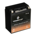Chrome Battery Ytx16l-bs (16l-bs 12 Volts,14 Ah, 230 Cca) Jet Sizeki Battery for Kawasaki Js650 Sizex 1988