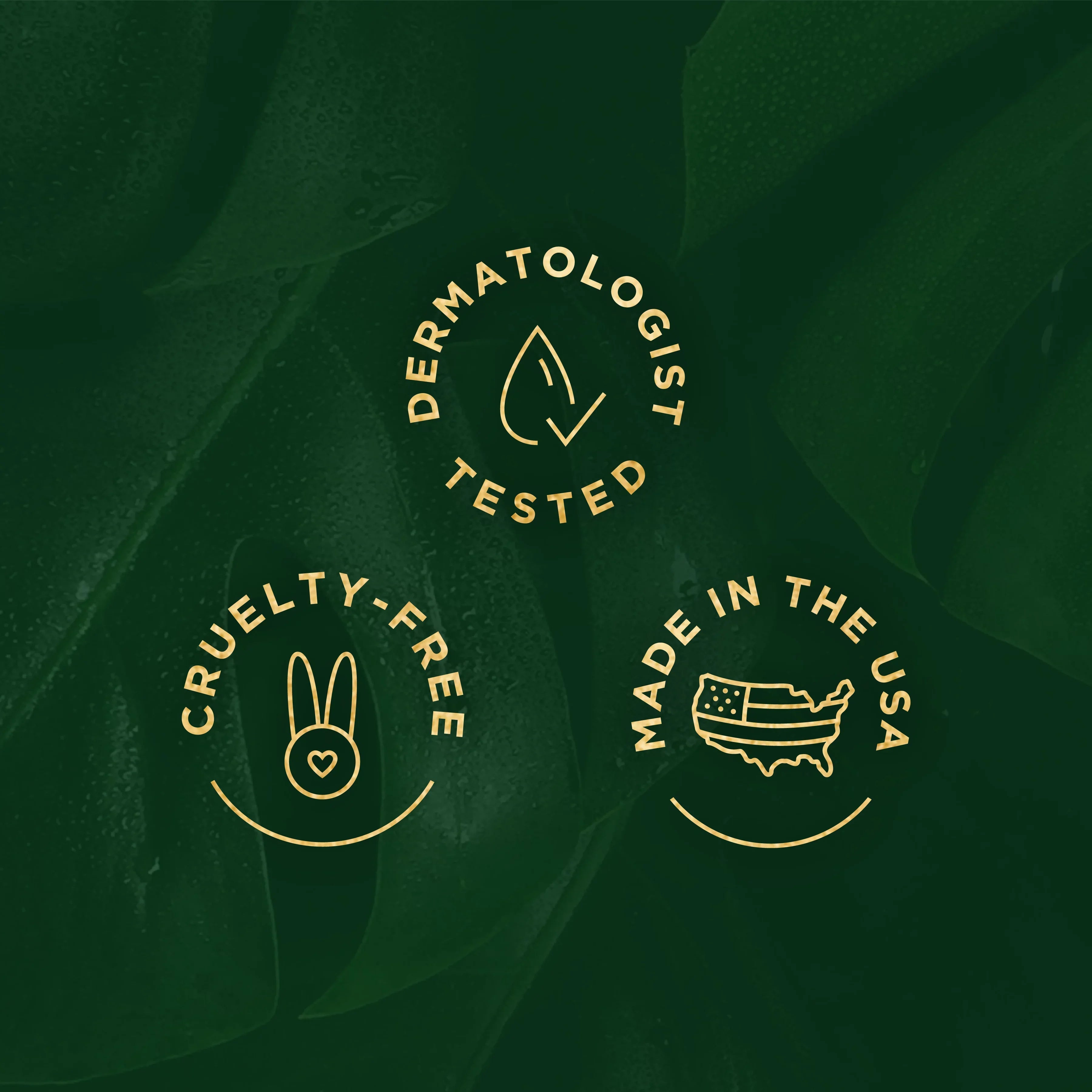 Tree of Life Vitamin C Moisturizer for Face Brightening | Revitalizing Face Cream with Vitamin E, 1.7 Fl oz