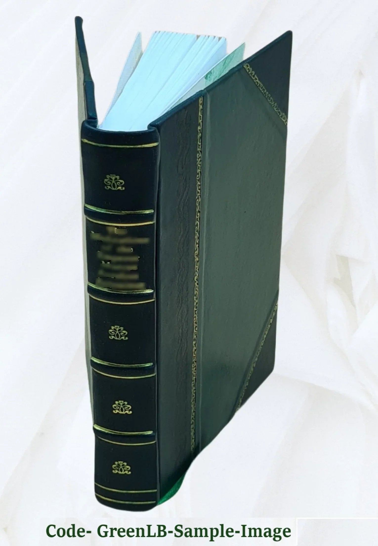 Windsor Castle. With port. of Henry IV, engraved after a picture at Hampton Court, and 14 etchings by Leon Lambert, after paintings by Hugh W. Ditzler 1901 [Leather Bound]