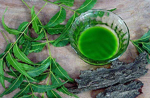 Nimbarka Neem Face Sizecrub 85gm and Handmade Neem Sizeoap 125gm