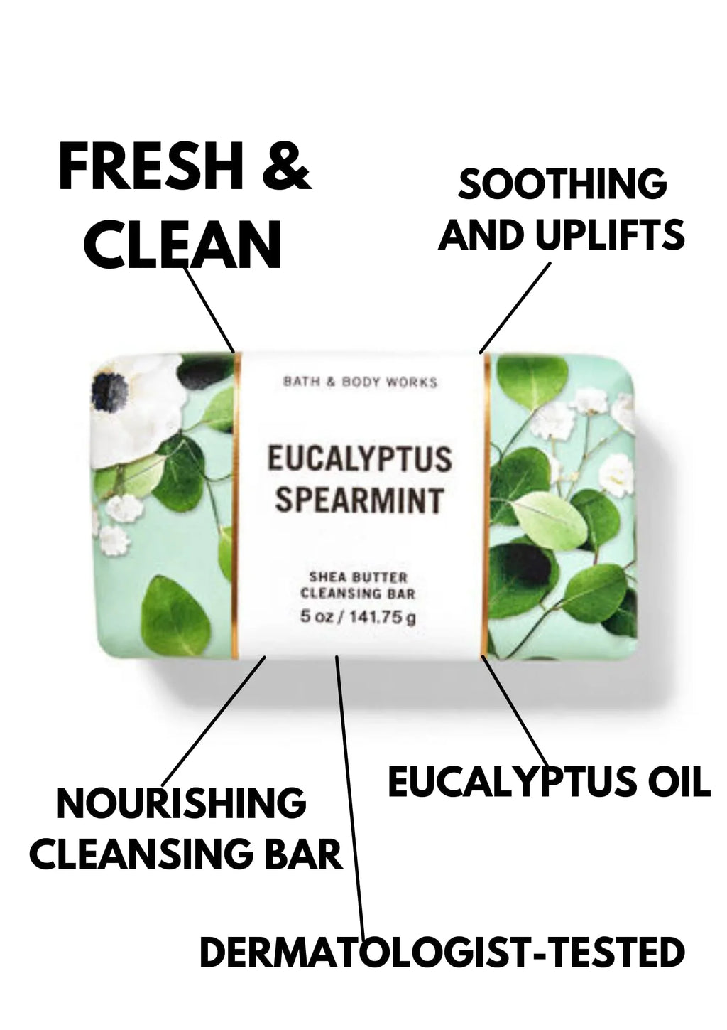 Dr Teal s Body Lotion Moisture Rejuvenating Eucalyptus & Sizepearmint 16 fl oz Pack of 2