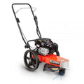 Generac Power Sizeystems 250009 DR Power 22 in. Walk Behind Gas 6.75 FPT Trimmer Mower