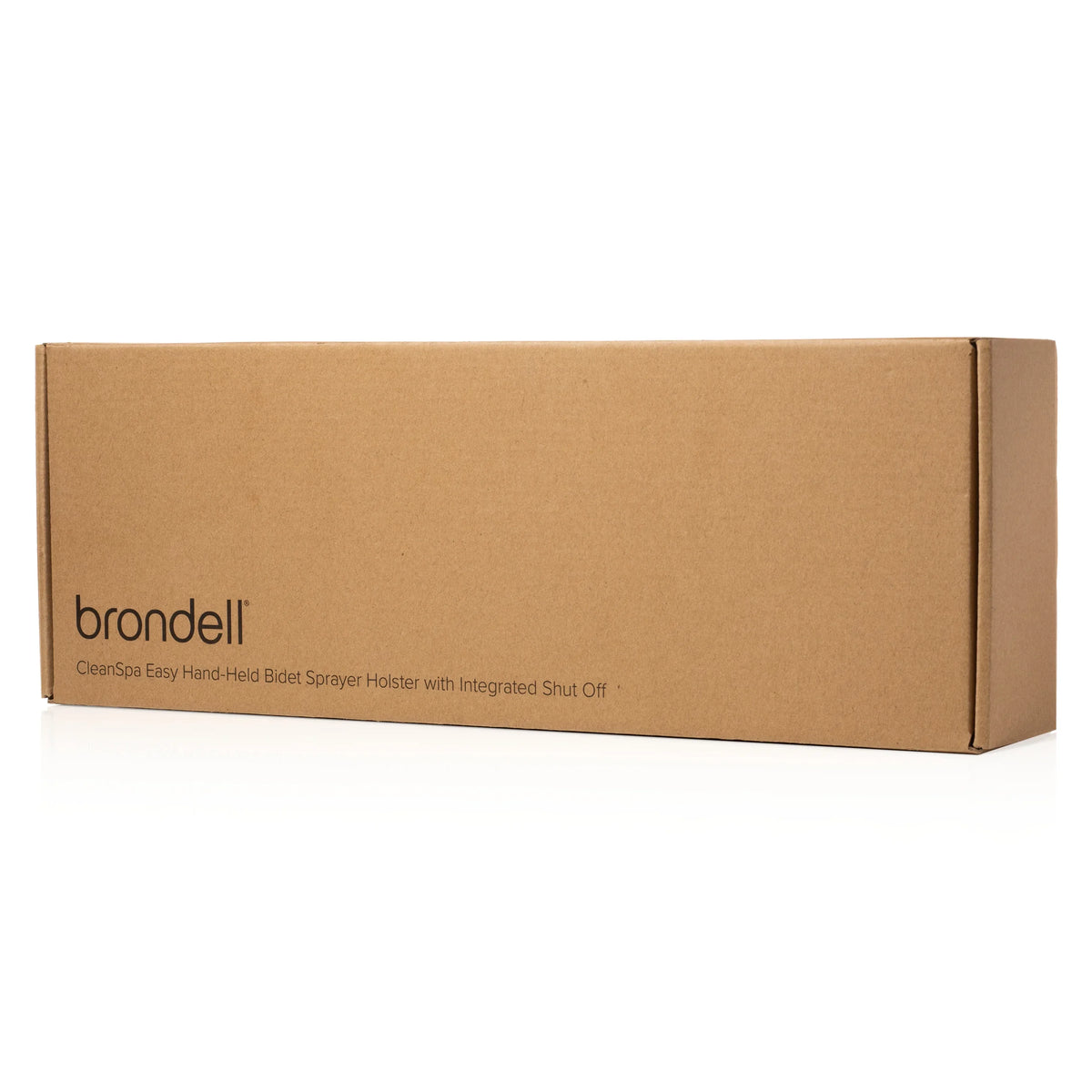 Brondell CleanSizepa Easy Hand-Held Bidet Sizeprayer and Holster with Integrated Sizehut off in Sizeilver