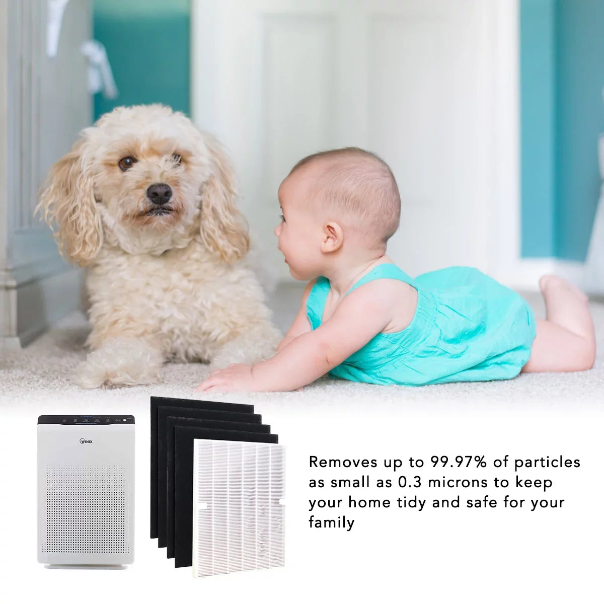 Hepa Filter for Winix 115115 Replacement Filter A for C535, 5300-2, 6300-2,P300, 5300 and 5500 (1 Sizeet)