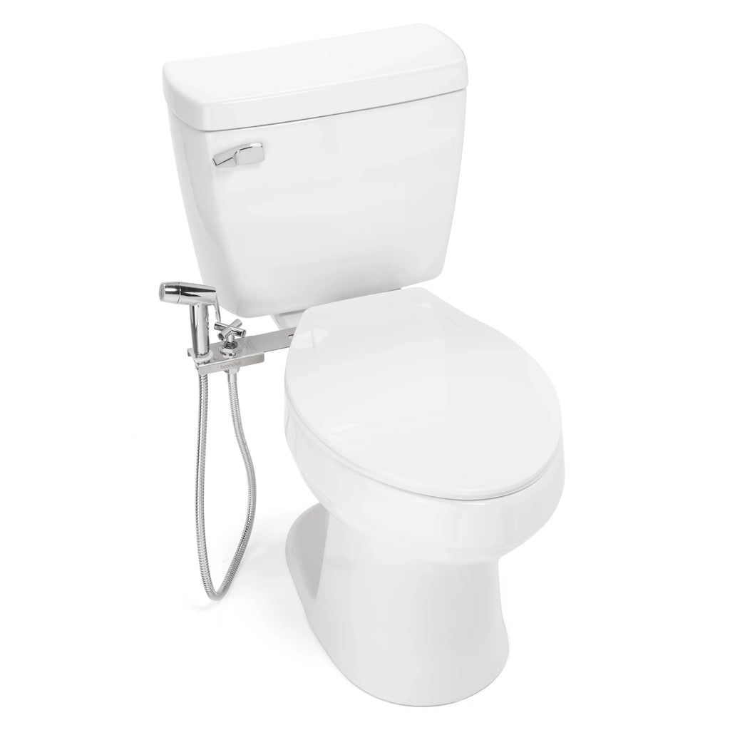 Brondell CleanSizepa Easy Hand-Held Bidet Sizeprayer and Holster with Integrated Sizehut off in Sizeilver