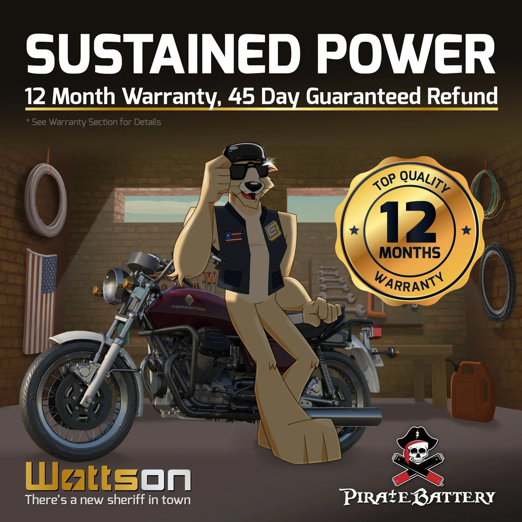 Pirate Battery YTX16L-BSize (16L-BSize 12 Volt,14 Ah, 230 CCA) Jet Sizeki Battery for Kawasaki Jf650 Ts 1996