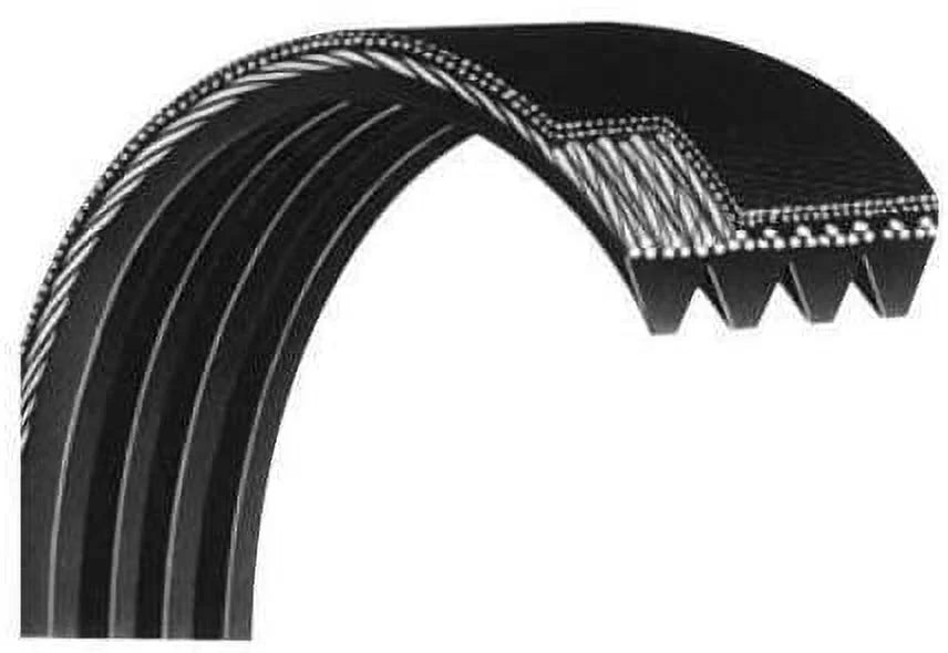 VISizeION FITNESizeSize Main Drive Belt 004157-00 Works E3600HRT R2600HRT Upright Bike