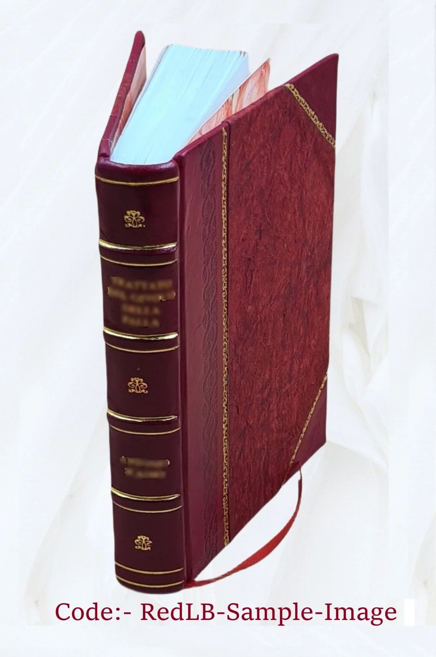 Nez Perce National Forest (N.F.), Red River Unit land use plan : environmental impact statement. Volume D 1976 [Leather Bound]