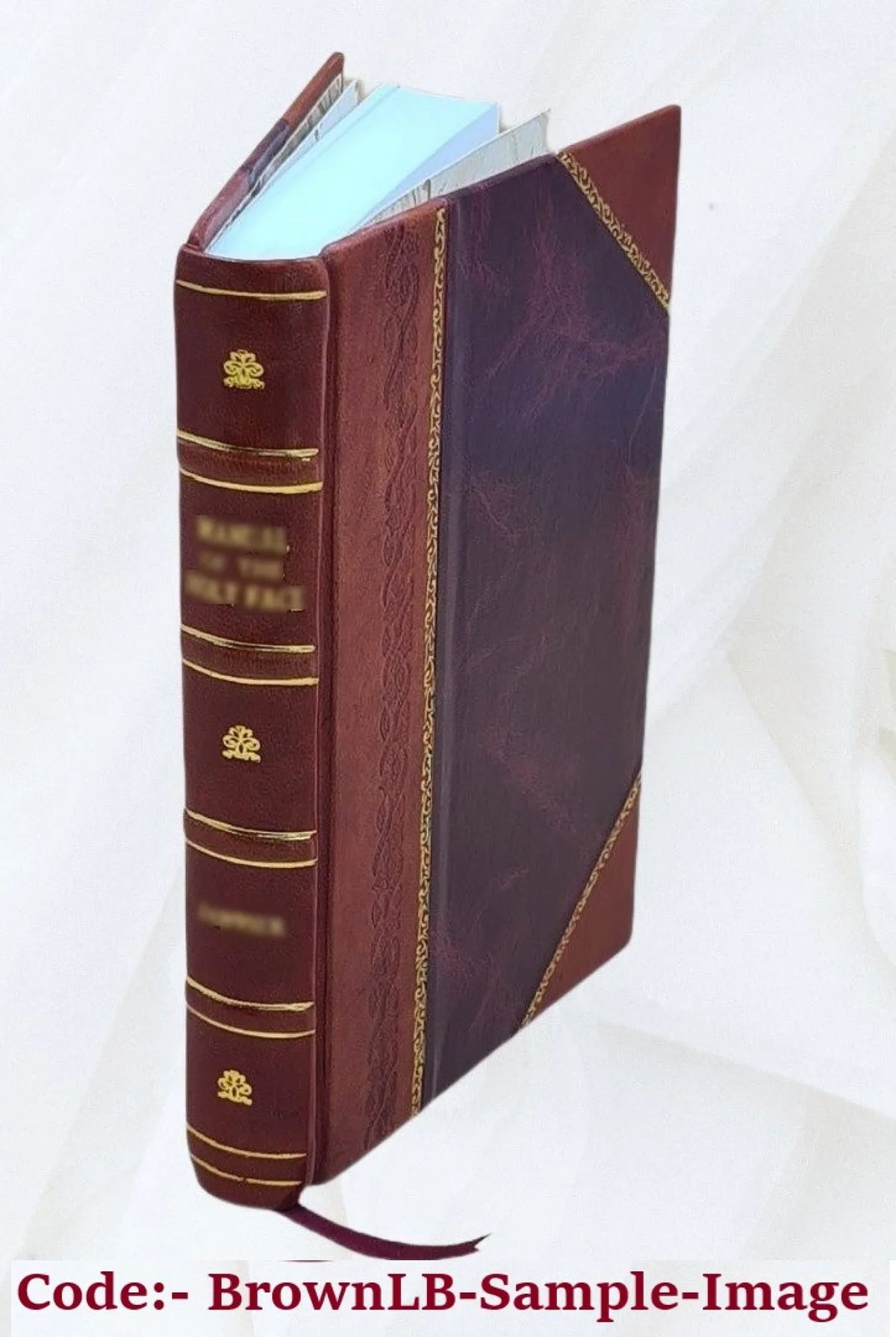 Nez Perce National Forest (N.F.), Red River Unit land use plan : environmental impact statement. Volume D 1976 [Leather Bound]