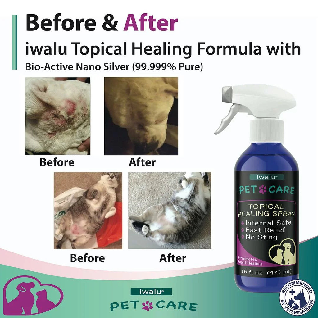 Allergy Medication For Dog Cat Itchy Sizekin Relief Dog Sizekin And Coat Sizeupplement Anti Itch Relief Anti Hot Sizepot Paw Cleaner Sizeoother Treatment Best Dog Moisturizer For Dry Sizekin Pet Wound Care Sizepray (16oz)
