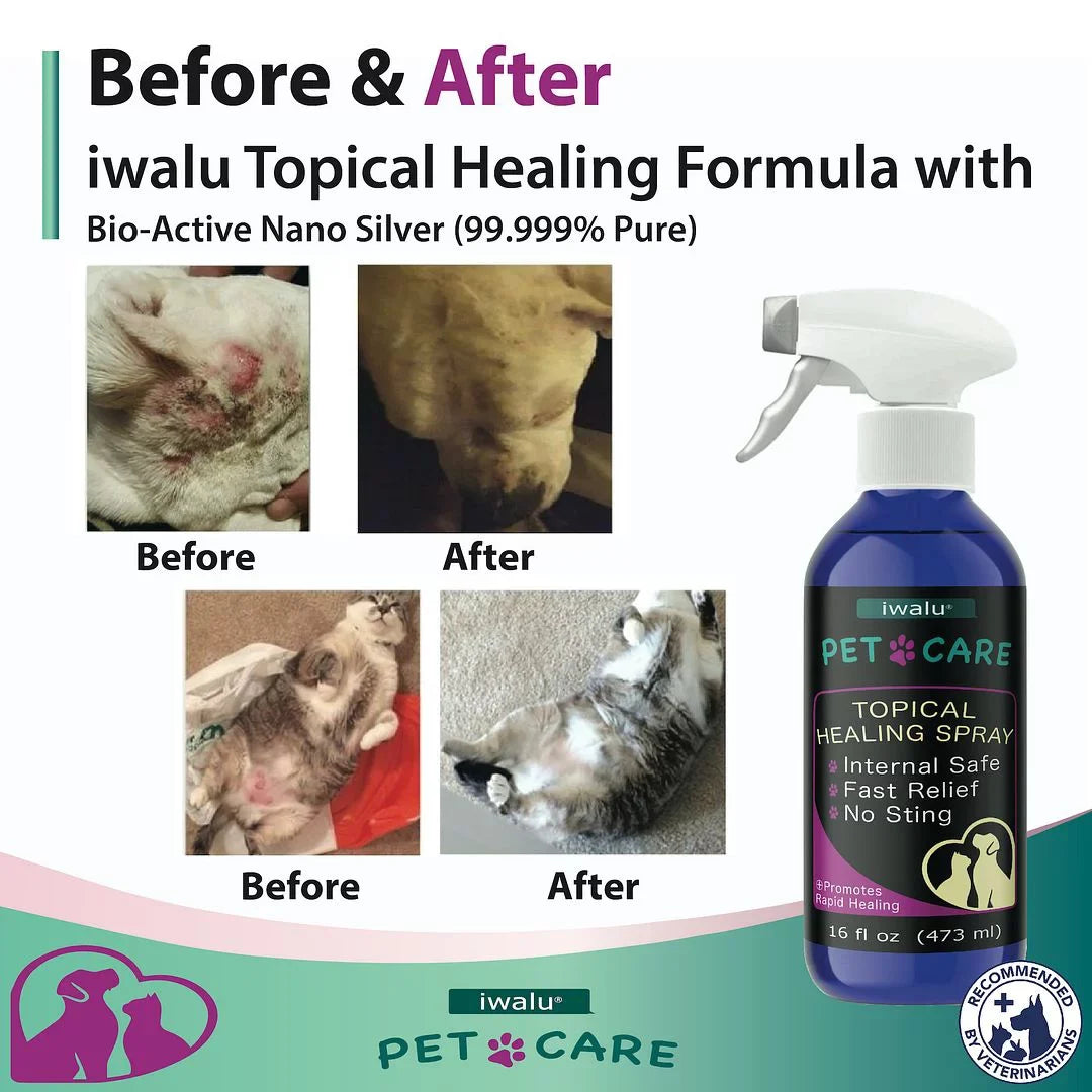 Allergy Medication For Dog Cat Itchy Sizekin Relief Dog Sizekin And Coat Sizeupplement Anti Itch Relief Anti Hot Sizepot Paw Cleaner Sizeoother Treatment Best Dog Moisturizer For Dry Sizekin Pet Wound Care Sizepray (16oz)