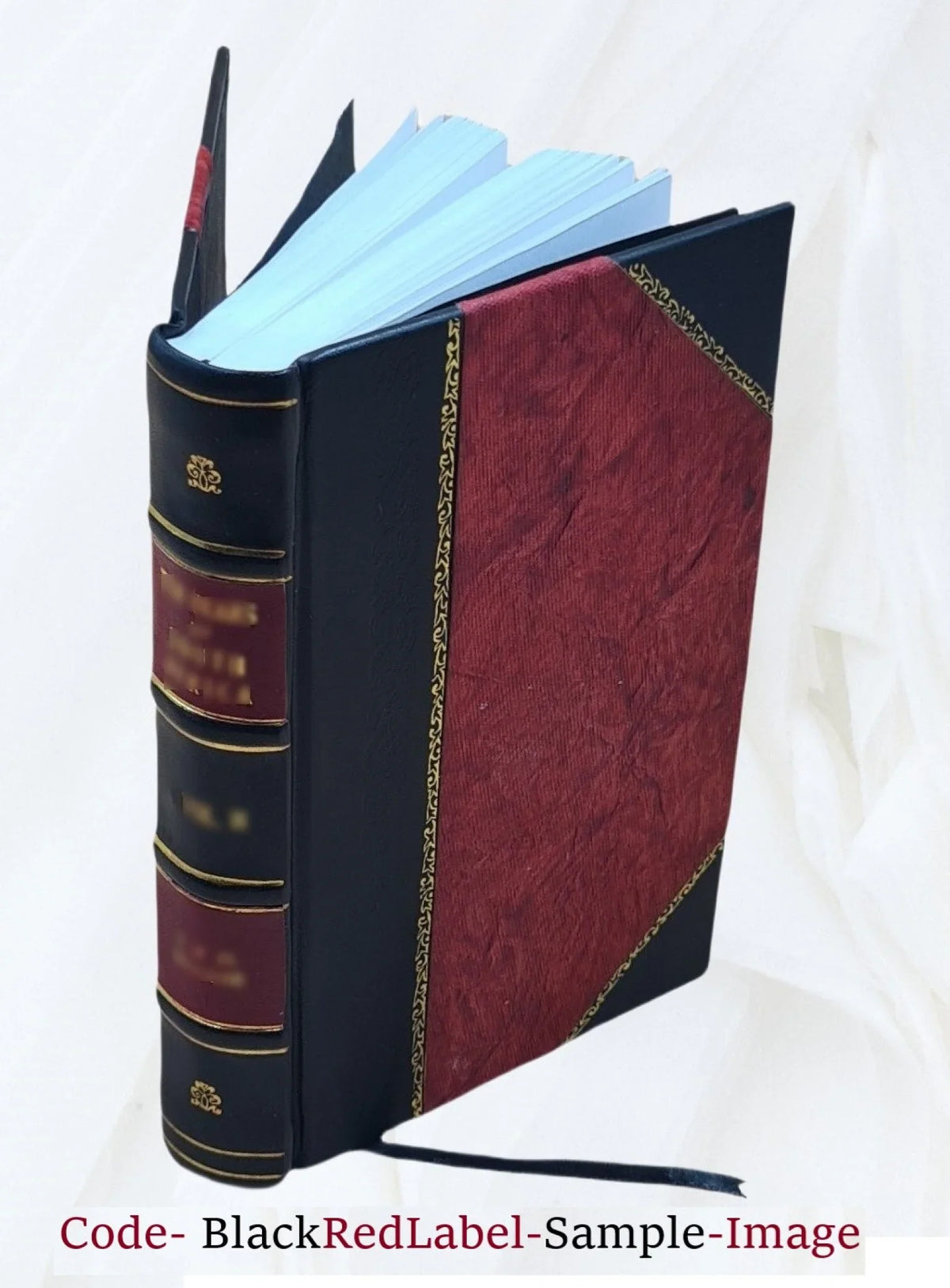 Windsor Castle. With port. of Henry IV, engraved after a picture at Hampton Court, and 14 etchings by Leon Lambert, after paintings by Hugh W. Ditzler 1901 [Leather Bound]