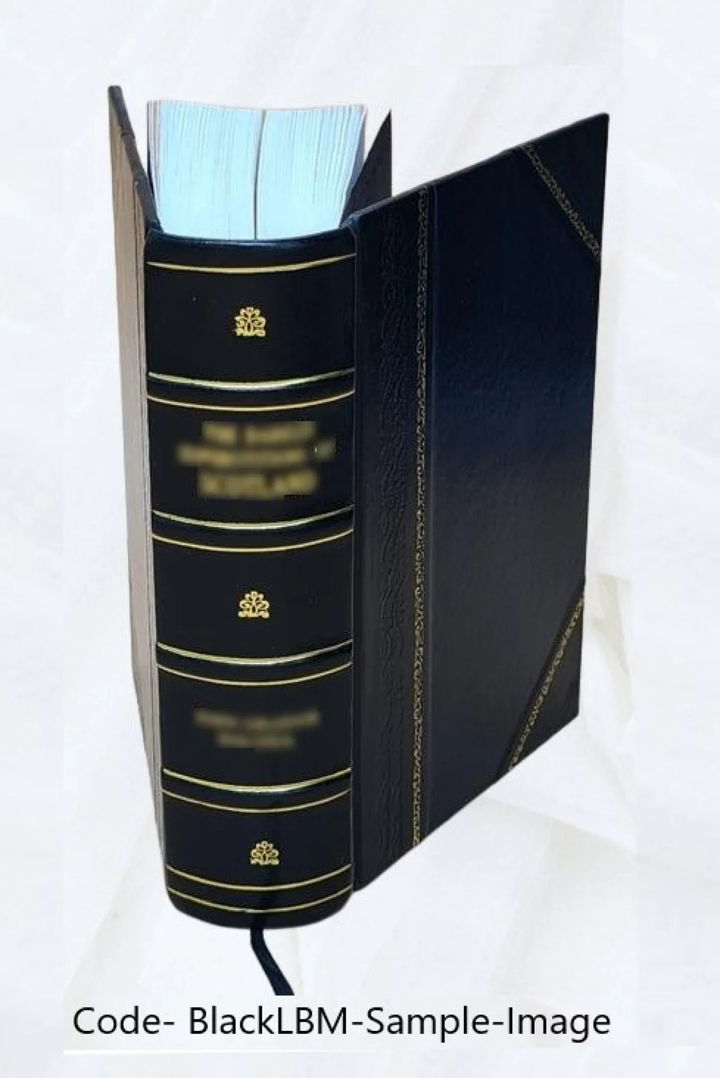 Sizeelected readings on the legal profession / assembled under the auspices of a committee of the Association of American Law Sizechools ; [edited by Benjamin F. Boyer ... [et al.]. 1962