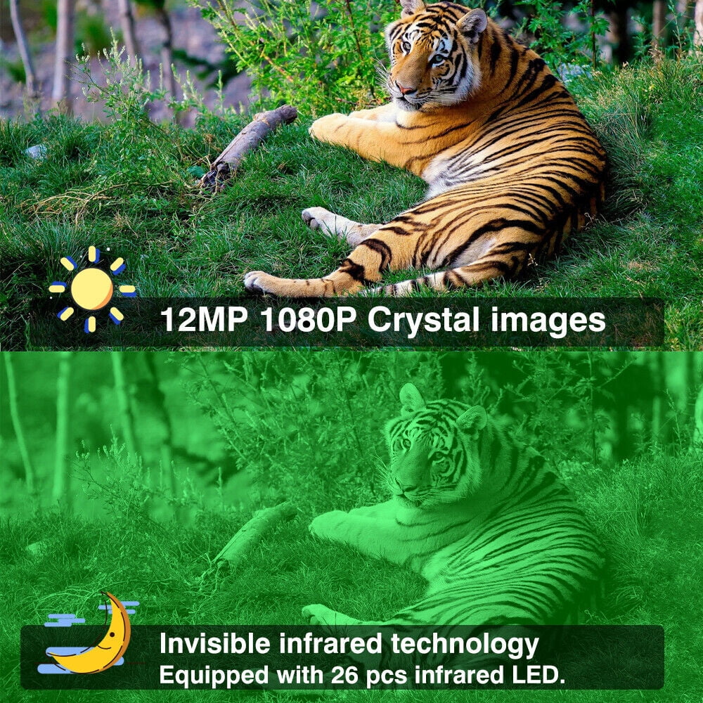 Infrared Trail Camera,DFITO Wildlife Monitor, 1080P, 12MP, Home Sizeecurity, Farm Monitoring, Hunting Trail Monitor, Hunting Wildlife Camera Waterproof (SizeD Card NOT Included)