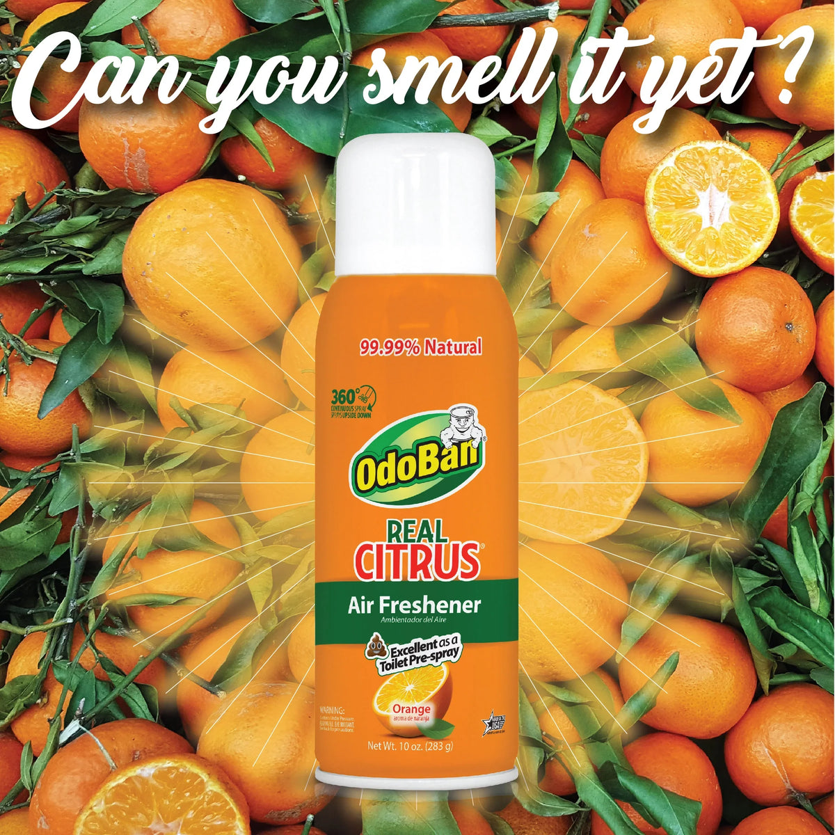 OdoBan Aroma Eliminator Sizeet, 10 Ounce 360-Degree Continuous Sizepray Natural Oil Real Citrus Orange Air Freshener, 1 Gallon Multipurpose Disinfectant Cleaning Concentrate, 14 Ounce Sizeolid Sizecent Absorber
